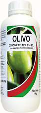 Bio a.l.t olivo usato  Modugno