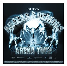 Biglietto concerto shiva usato  Fano
