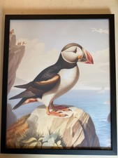 Puffin framed art for sale  New Harbor