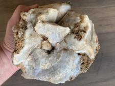 3968 grams luna for sale  Deming
