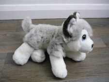 Signature cuddle puppies for sale Signature cuddle puppies for sale  BRENTWOOD