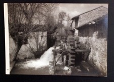 Cart.2535 cartolina viaggiata usato  Crespina Lorenzana