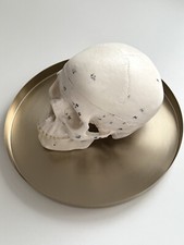Anatomisches magnetisches sch� gebraucht kaufen  Schenefeld