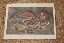 Currier ives vintage for sale  Pecatonica