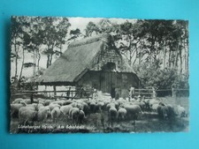 Lüneburger heide schafstall gebraucht kaufen  Köln