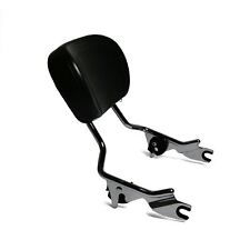 Schienale sissy bar usato  Spedire a Italy