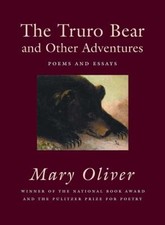 Truro bear adventures for sale  Mishawaka