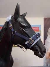 Navy blue shires for sale  NORWICH