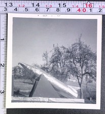 Parade float fake for sale  Weatherly