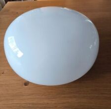 Magnifique plafonnier globe d'occasion  Salbris