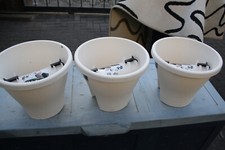 elho corsica gebraucht kaufen elho corsica gebraucht kaufen Bad Vilbel