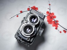Rolleiflex 4x4 baby usato  Santa Croce sull'Arno