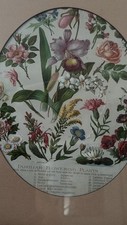 1894 lithograph flowers for sale  Kyle