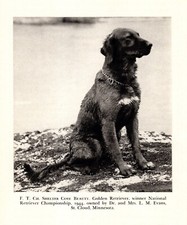 1945 antique golden for sale  Harborton