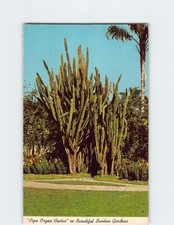 Postcard pipe organ for sale  Almond