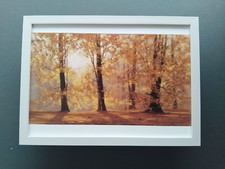David shepherd print for sale  YORK