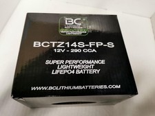Lithium batteries bctz14s gebraucht kaufen  Herten