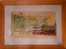 Umberto milani usato  Nettuno