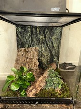 Reptile enclosure for sale  Carlsbad