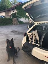 Dogstyler hundebett den gebraucht kaufen  Drakenburg