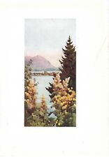 Lago maggiore giardino usato  Lecco
