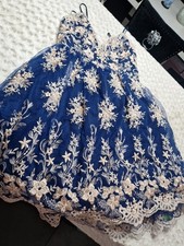 Stunning chi chi for sale  BOLTON