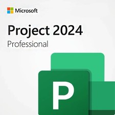 Microsoft Project Professional 2024 para Windows com USB comprar usado  Enviando para Brazil