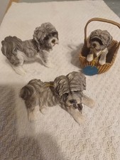 Shih tzu black for sale  TONBRIDGE