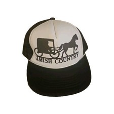 Amish country trucker for sale  Pelham