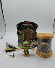 Teenage mutant ninja for sale  Flushing