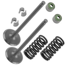 Exhaust valve kit for sale  Pacoima