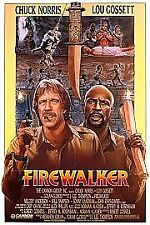 Firewalker dvd chuck for sale  DONCASTER