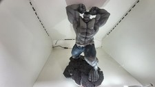Sideshow hulk grey gebraucht kaufen  Albersweiler, Rinnthal, Silz