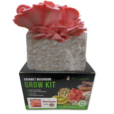 oyster mushrooms for sale oyster mushrooms for sale Woodstock