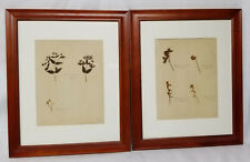 Antique framed botanical for sale  Canaan
