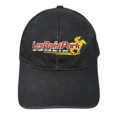 Lesboispark ticket fun for sale  Knightstown