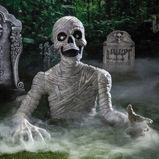 Ground reaching mummy for sale  Mooresville