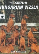 Complete hungarian vizsla for sale  UK