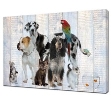 Artsbay animal canvas for sale  USA