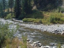 gold mining claims for sale gold mining claims for sale New York