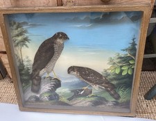 Antique bird feather for sale  HEREFORD