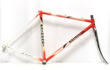 Telaio raimondi steel usato  Roma
