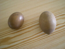Oeufs bois anciens d'occasion  Lannion