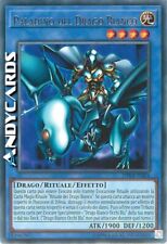 Paladino del drago usato  Ravenna
