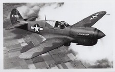 Curtiss 40n warhawk for sale  PAIGNTON