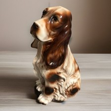 Norleans cocker spaniel for sale  Estes Park