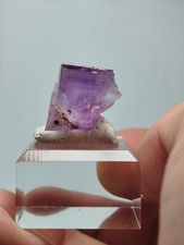 Fluorine berbes espagne d'occasion  Villé