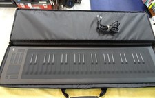 Roli seaboard rise for sale  Cass City