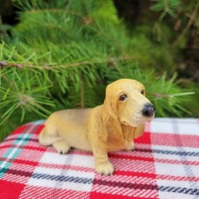 Basset hound dog for sale  Chimacum