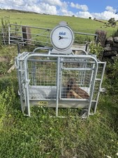 Iae livestock scales for sale  CONGLETON